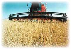 Harvest